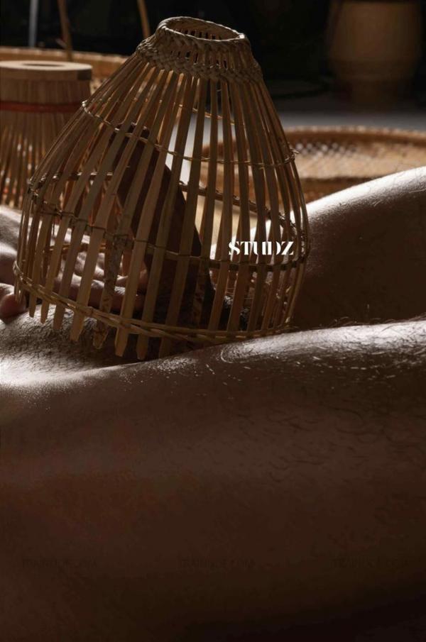 STUDZ-01--Zesty--Ebook--Video-